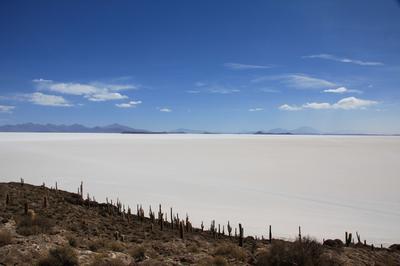 Descubriendo Bolivia: Cultura, Naturaleza y Aventura
